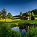 Thumbnail Image 8